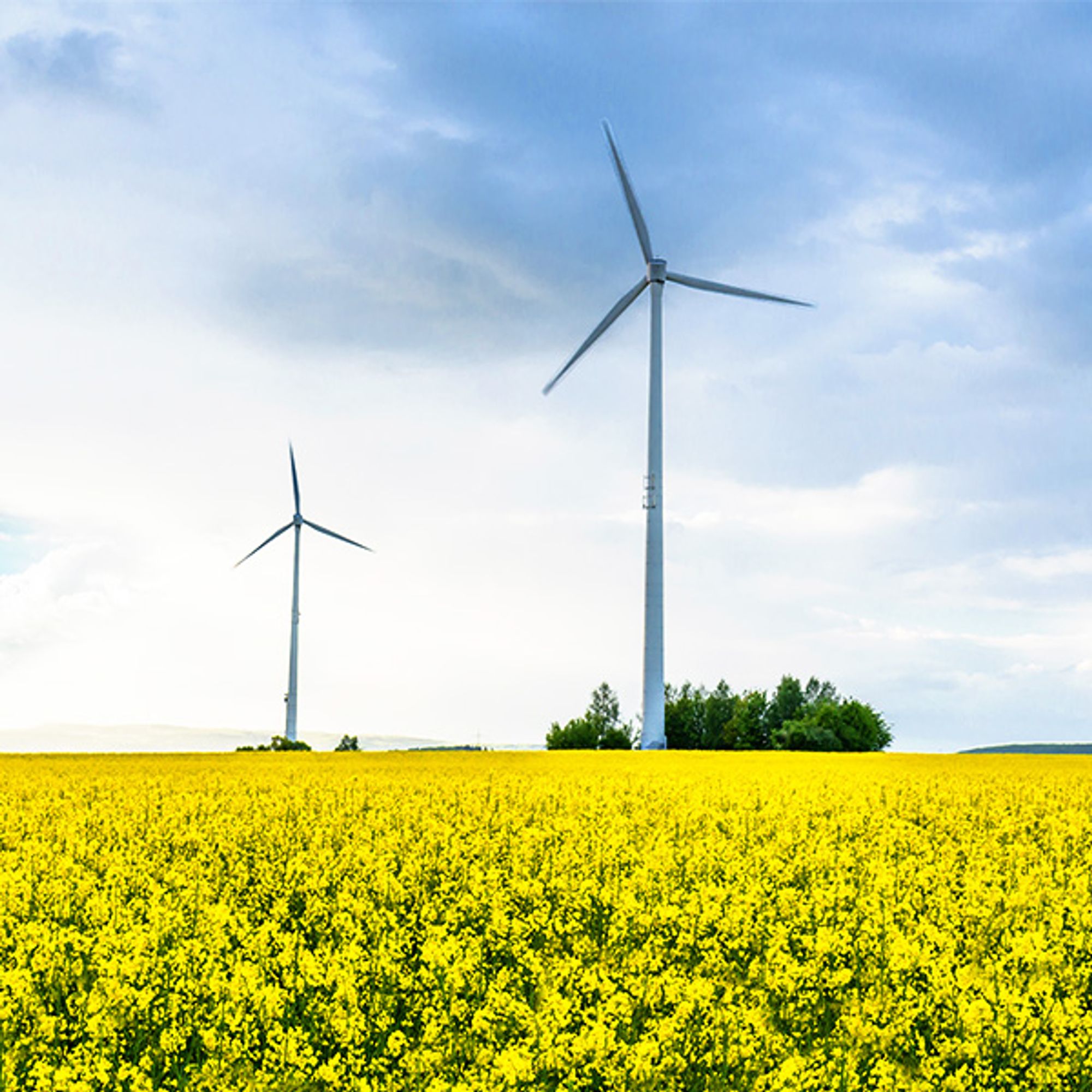 Players e autoridades debatem o avanço da transição energética no Brasil